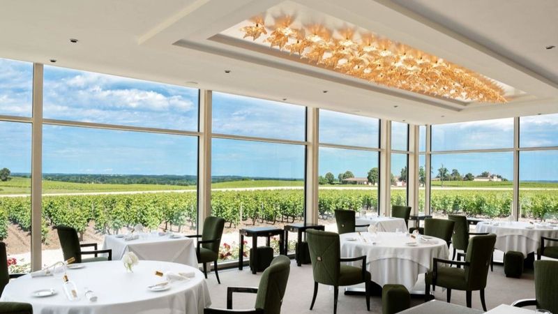 Vignoble bordelais : 5 restaurants au cœur des vignes