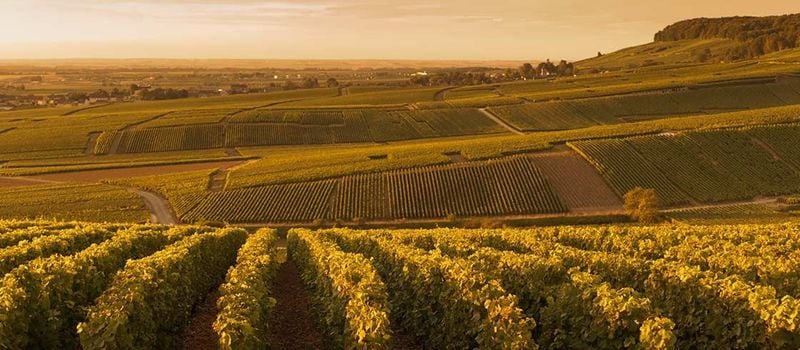 Urlaub in der Champagne