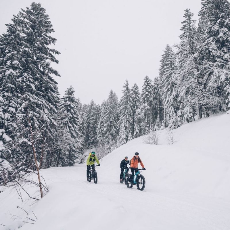 Notre sélection d’activités à sensations pour les ados en montagne