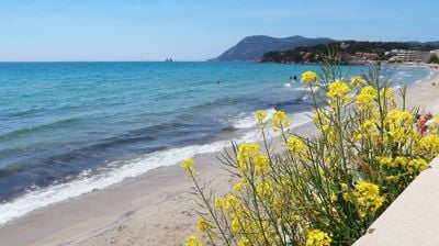 Nudist beaches in France: Ultimate guide to French naturist destinations