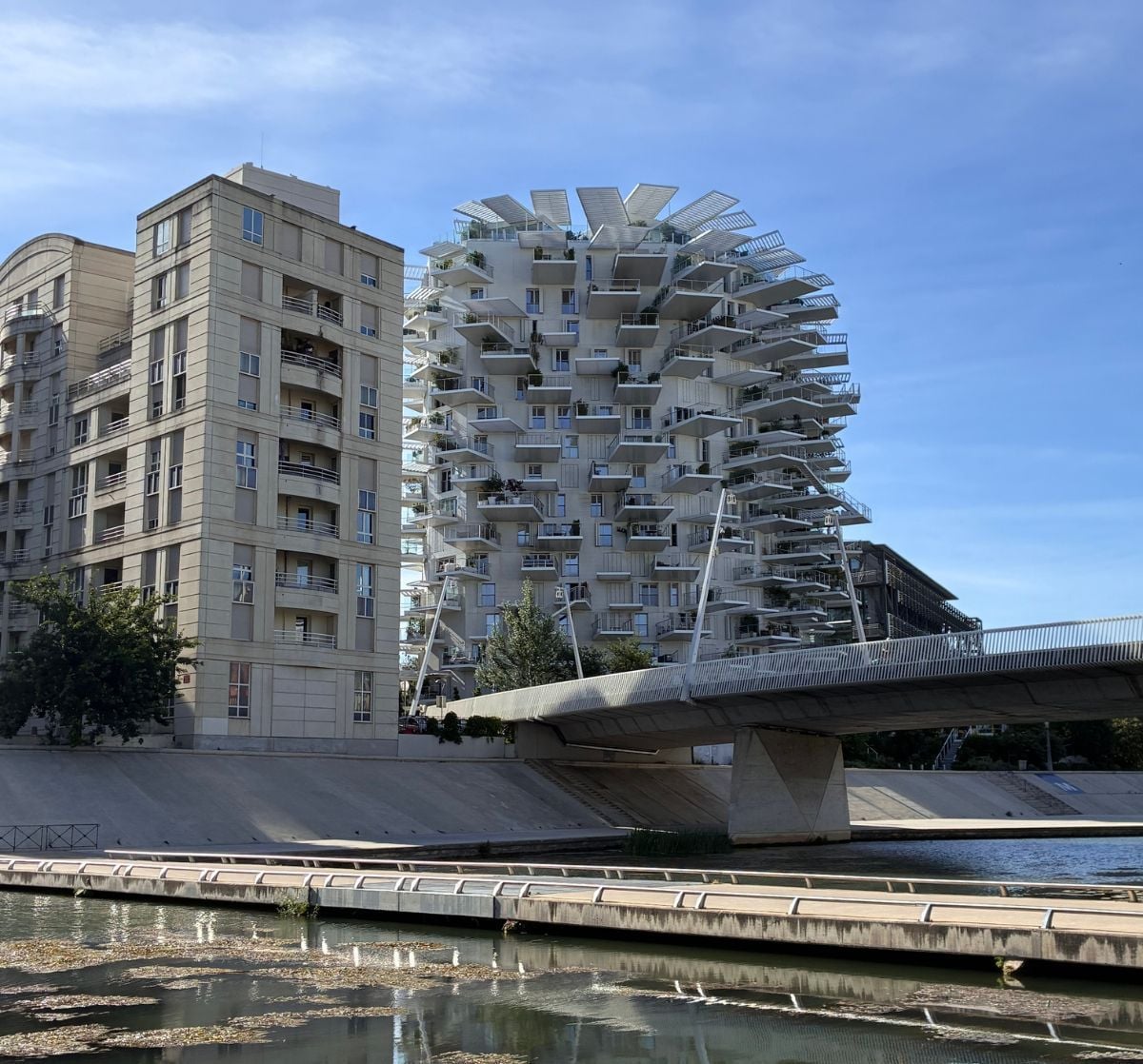 L'Arbre Blanc, Montpellier, Sydfrankrig
