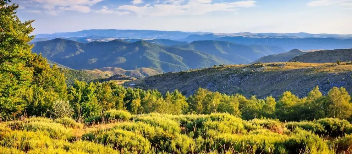 ok_CRTMP_0021045_MD_36456d745d