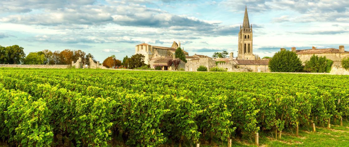 Viñedo de Saint-Emilion