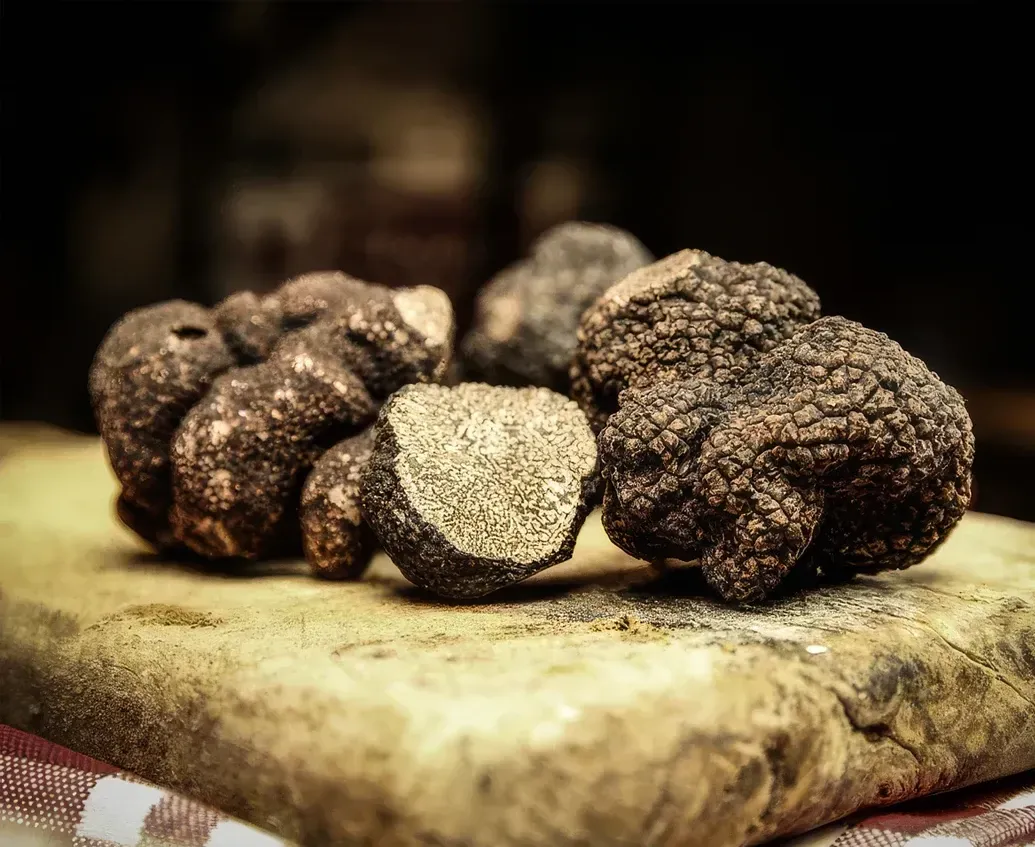 Trufa negra del Périgord