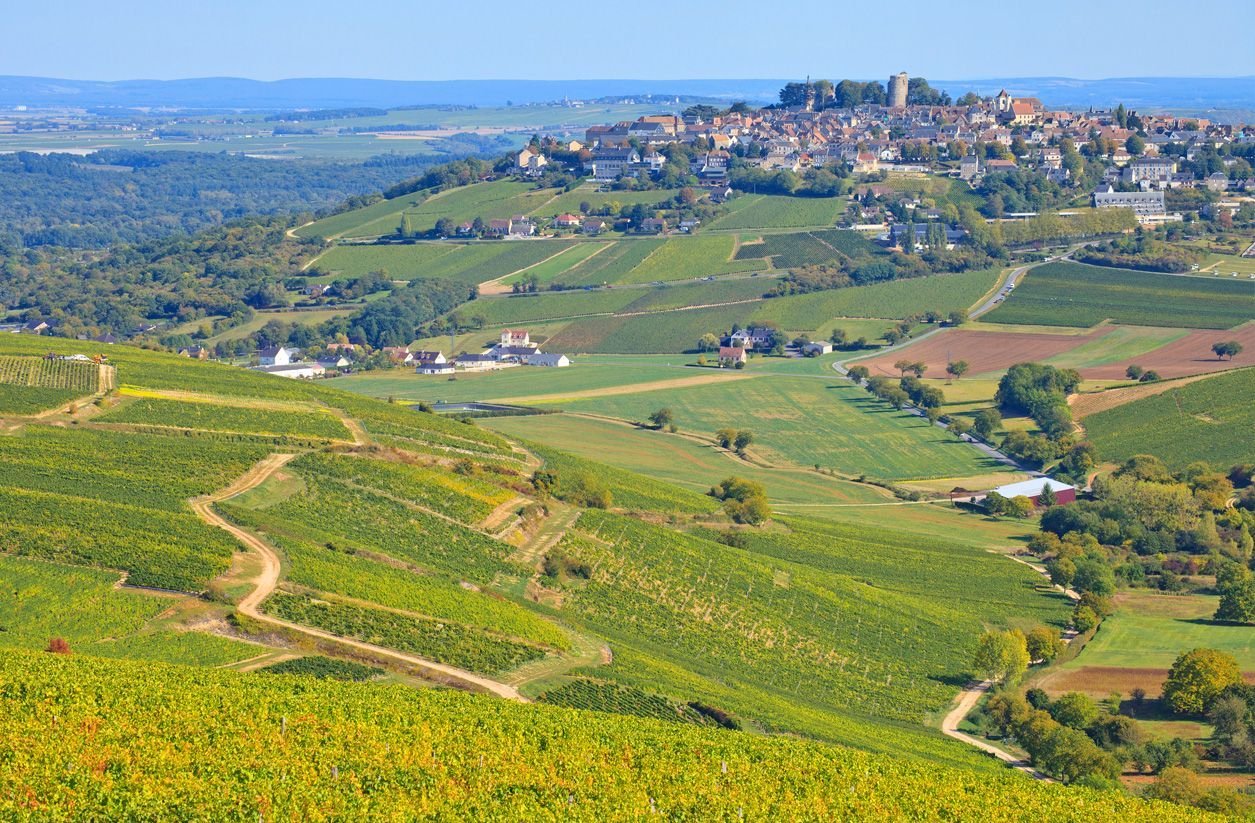 Viñedos de Sancerre, en el Valle del Loira.