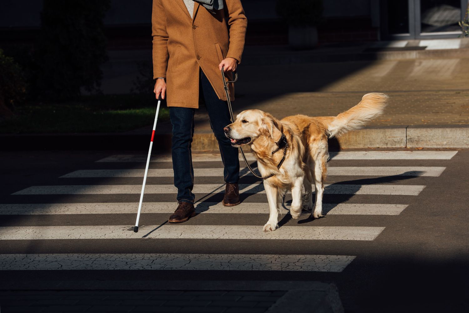 Mit dem Hund nach Frankreich Explore France