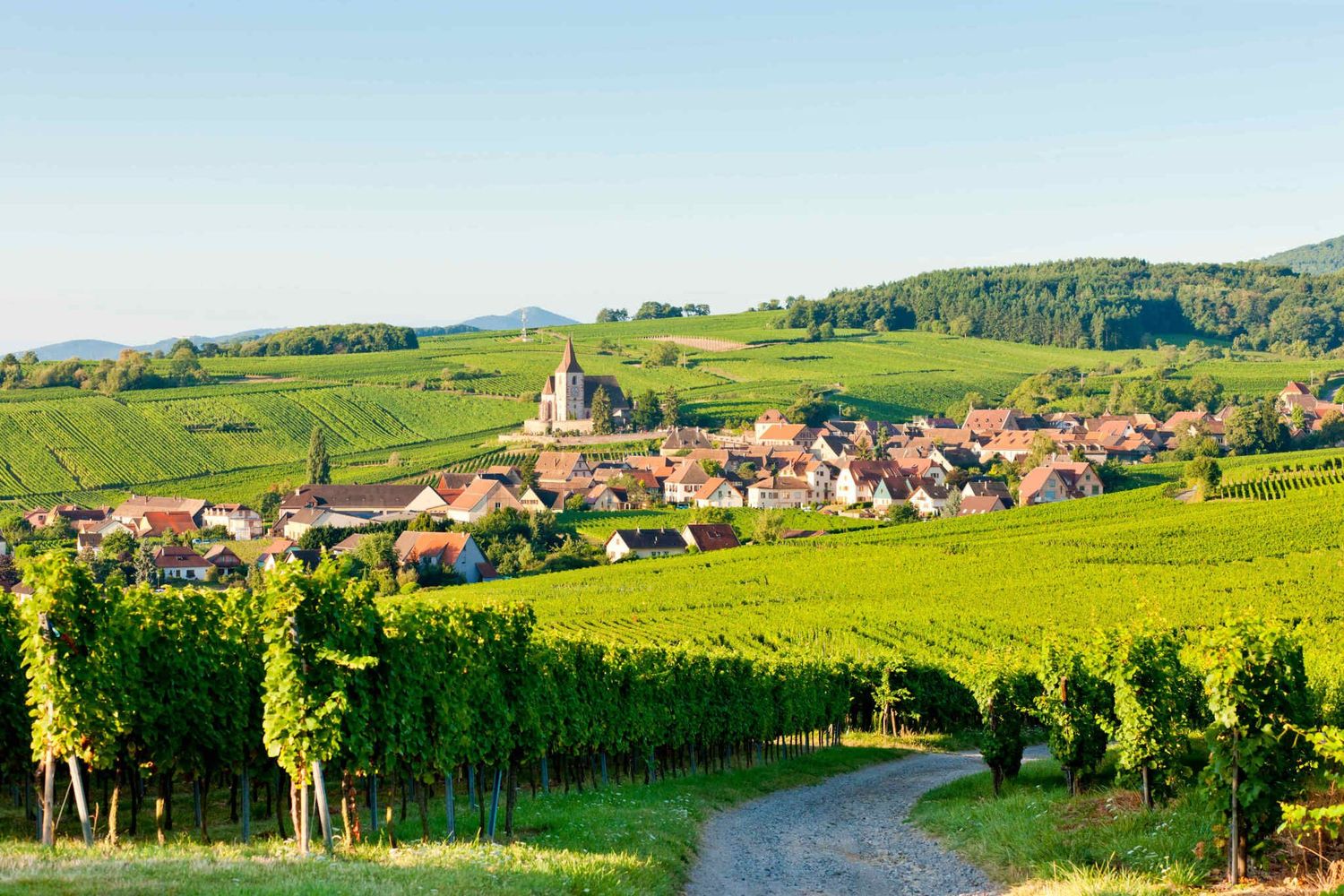Page De Garde Alsace Route des Vins d'Alsace : 8 villages à ne pas manquer